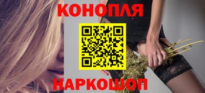 сатива Кузнецк
