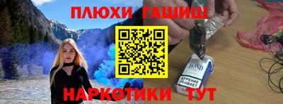 сатива Кузнецк
