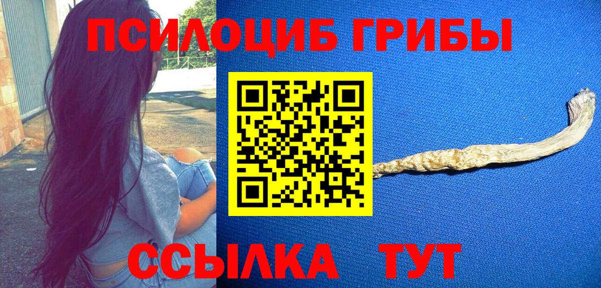 Псилоцибиновые грибы Psilocybine cubensis  купить   Мелеуз  Вход с VPN 